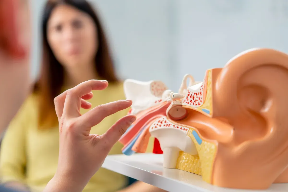 Model Uha Upala Zvukovoda